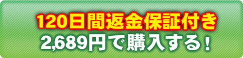 120日間返金保証付き2,689円で購入する!_02