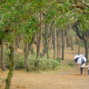 雨の日のおしゃれの仕方とブーツ選び