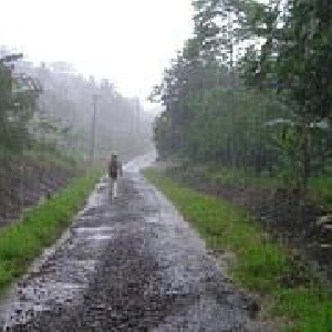 湿気取りシートとすのこで梅雨を乗り切りましょう