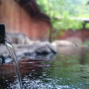 高尾山に日帰りで行こう!自然と触れ合うおすすめ女子旅