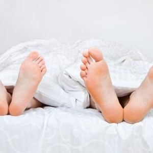 簡単?貼って寝るだけの健康アイテム「樹液シート」の効果とは