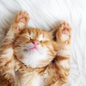 歯ぎしりでもう悩まない!ぐっすり眠って爽快な寝起きを獲得する方法