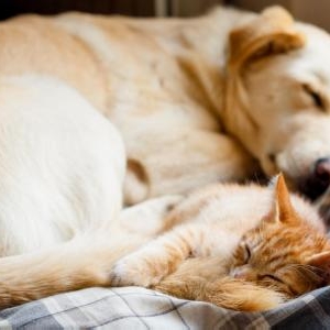 風邪予防の基本は、休息と睡眠から!