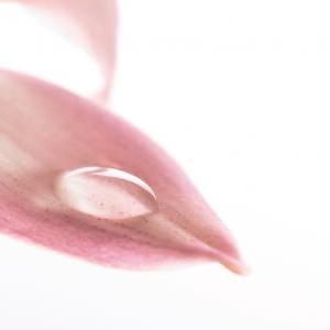 尿漏れは若い女性にも増えている!尿漏れの原因と改善方法とは?