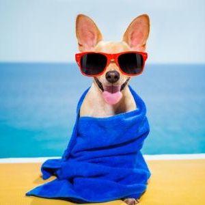 本当は怖い日焼け!今年はサプリメントで夏を乗り切ろう!