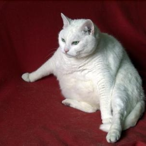 むくみを侮らないで!病院でお医者さんに診てもらった方が良いケースとは?