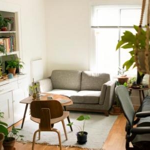 蛾が部屋に!lol 駆除する方法と家で蛾を増やさないための基本知識